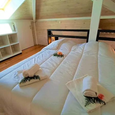 Belle Maison Ossature Bois Avec Spa Proche Océan Moliets-et-Maa