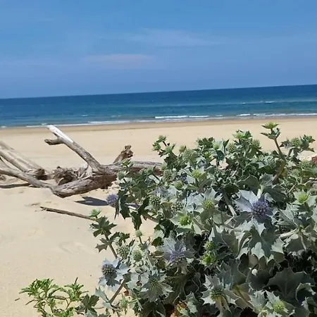 Hébergement de vacances Belle Maison Ossature Bois Avec Spa Proche Océan Moliets-et-Maa