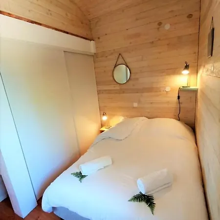 Very Nice Wood Frame House With Garden *